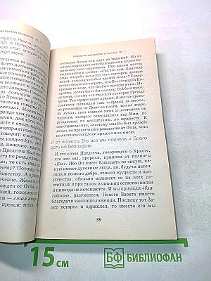 Толкование на Евангелие от Иоанна. Книга 4