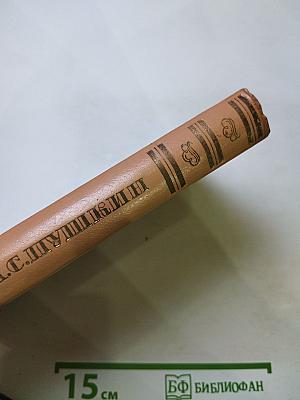 Стихотворения. Поэмы