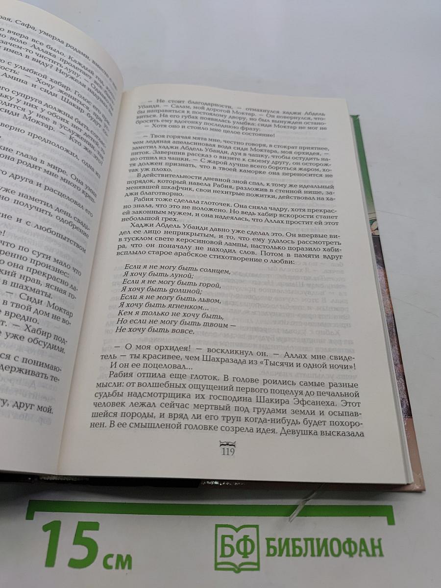 Странствия хирурга. Миссия пилигрима