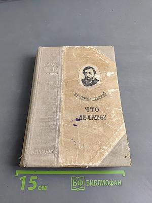 Что делать?