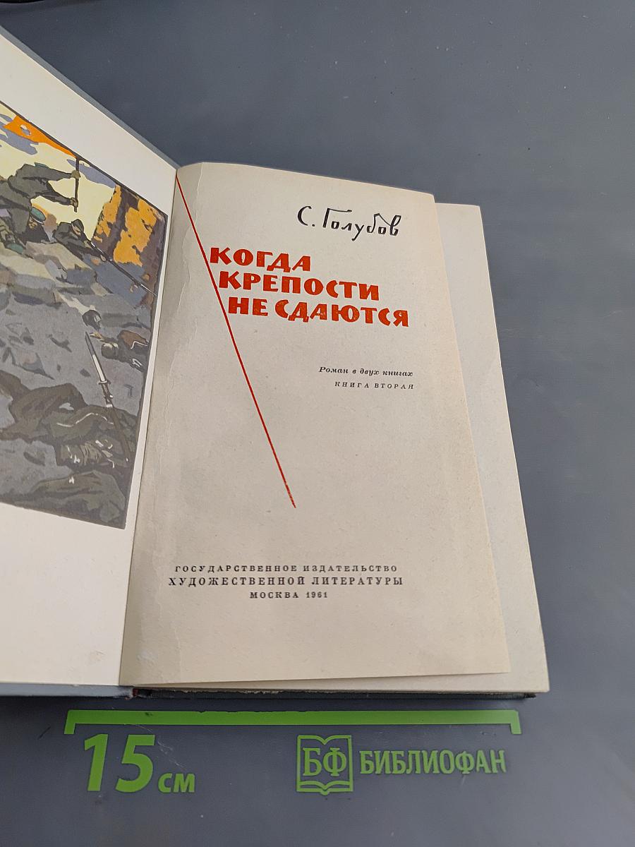 Когда крепости не сдаются. Книга вторая