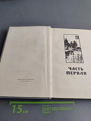 Когда крепости не сдаются. Книга вторая