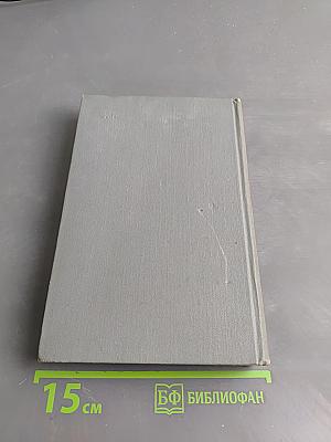 Когда крепости не сдаются. Книга вторая