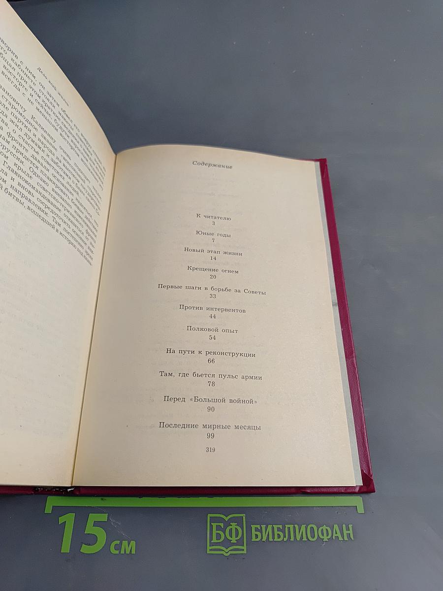 Дело всей жизни. Книга первая