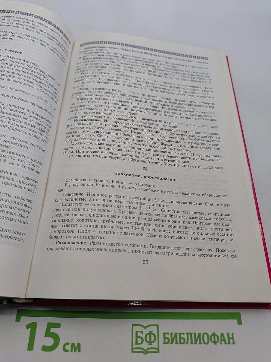 Цветы в саду