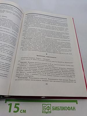 Цветы в саду