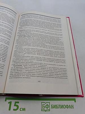 Цветы в саду