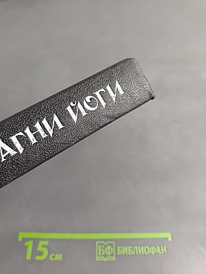 Мозаика Агни Йоги. Книга 1