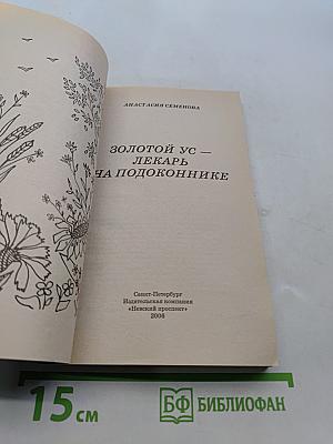 Золотой ус — лекарь на подоконнике