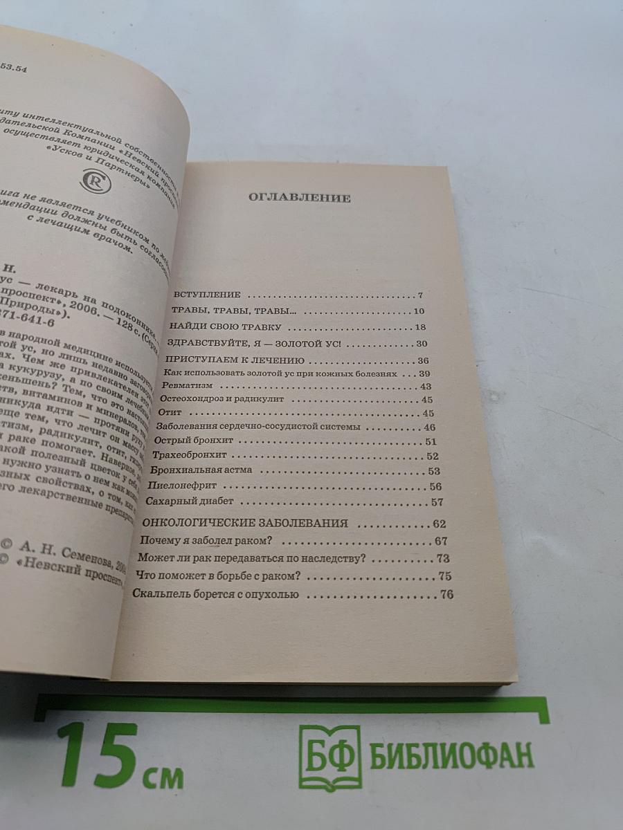 Золотой ус — лекарь на подоконнике