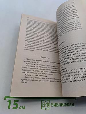 Золотой ус — лекарь на подоконнике