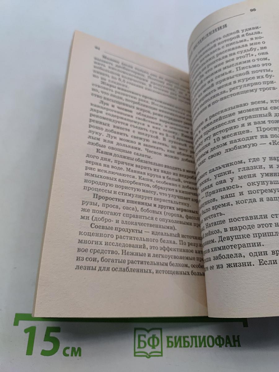 Золотой ус — лекарь на подоконнике