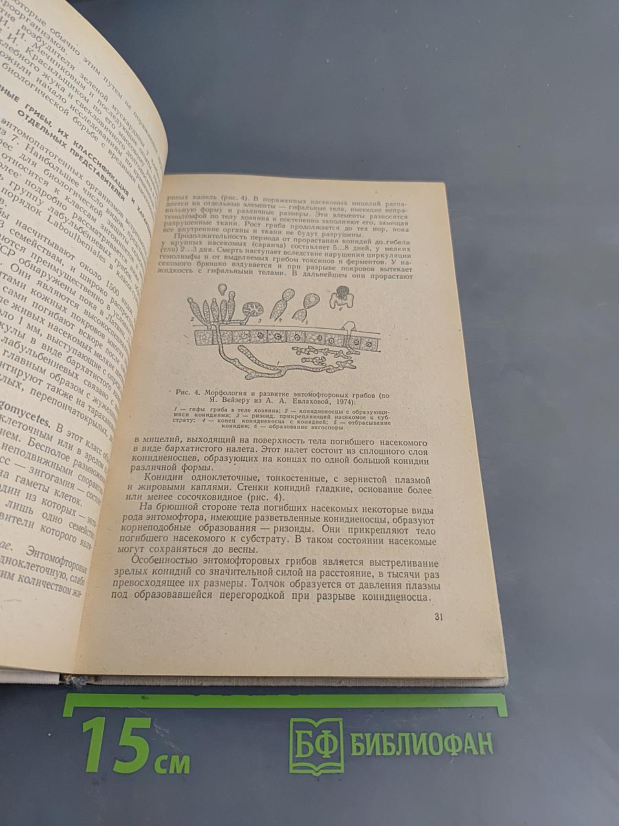 Биологическая защита растений