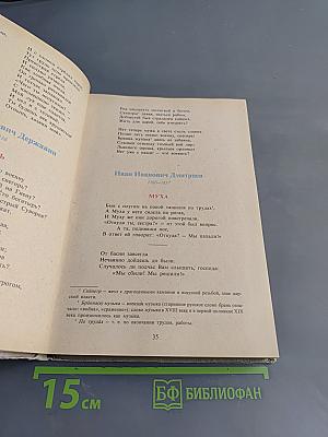 В мире русской литературы. Книга для внеклассного чтения. 6 класс