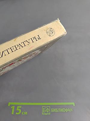 В мире русской литературы. Книга для внеклассного чтения. 6 класс