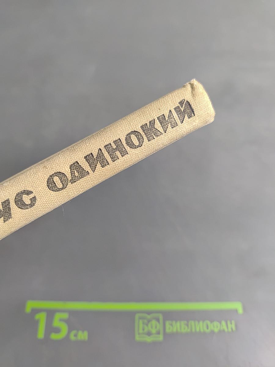 Белеет парус одинокий