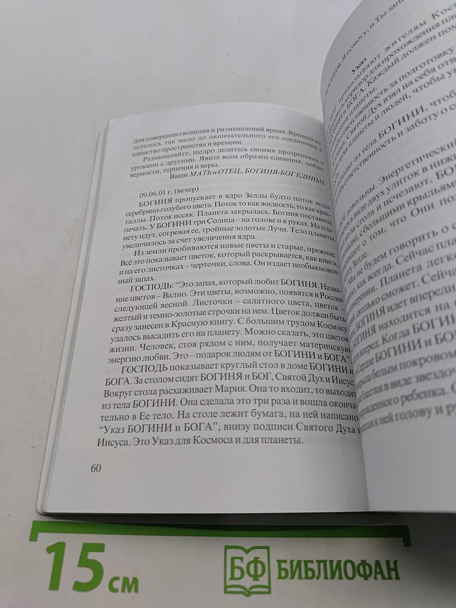Киевский дневник