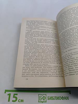 Каркские сокровища
