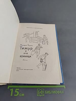 Тимур и его команда