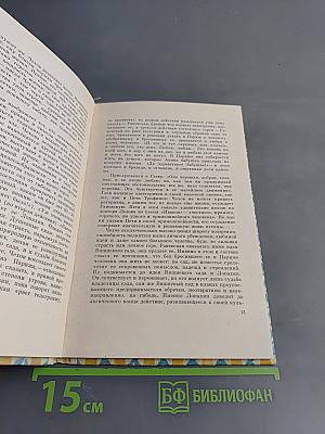 Вишнёвый сад (Школьная библиотека)