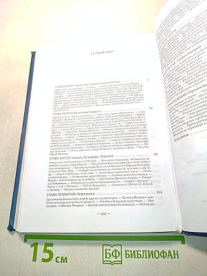 История России с древнейших времен. Том VI