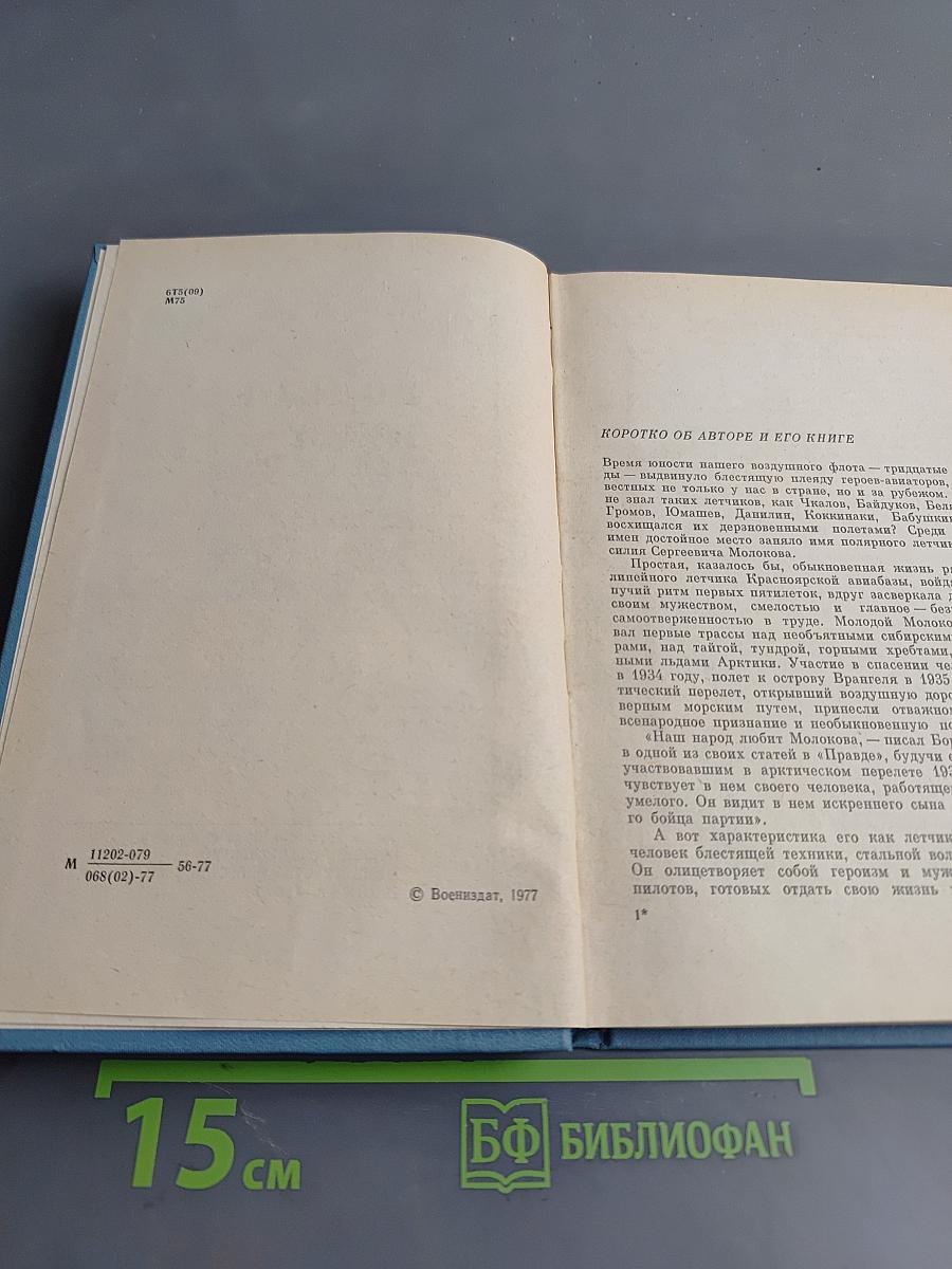 Родное небо