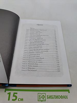 Миры за стеной. Стекло старьевщика