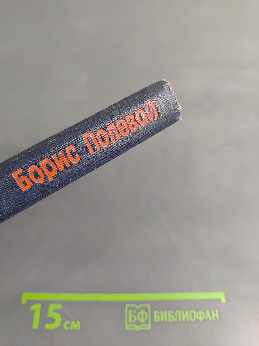 Повесть о настоящем человеке