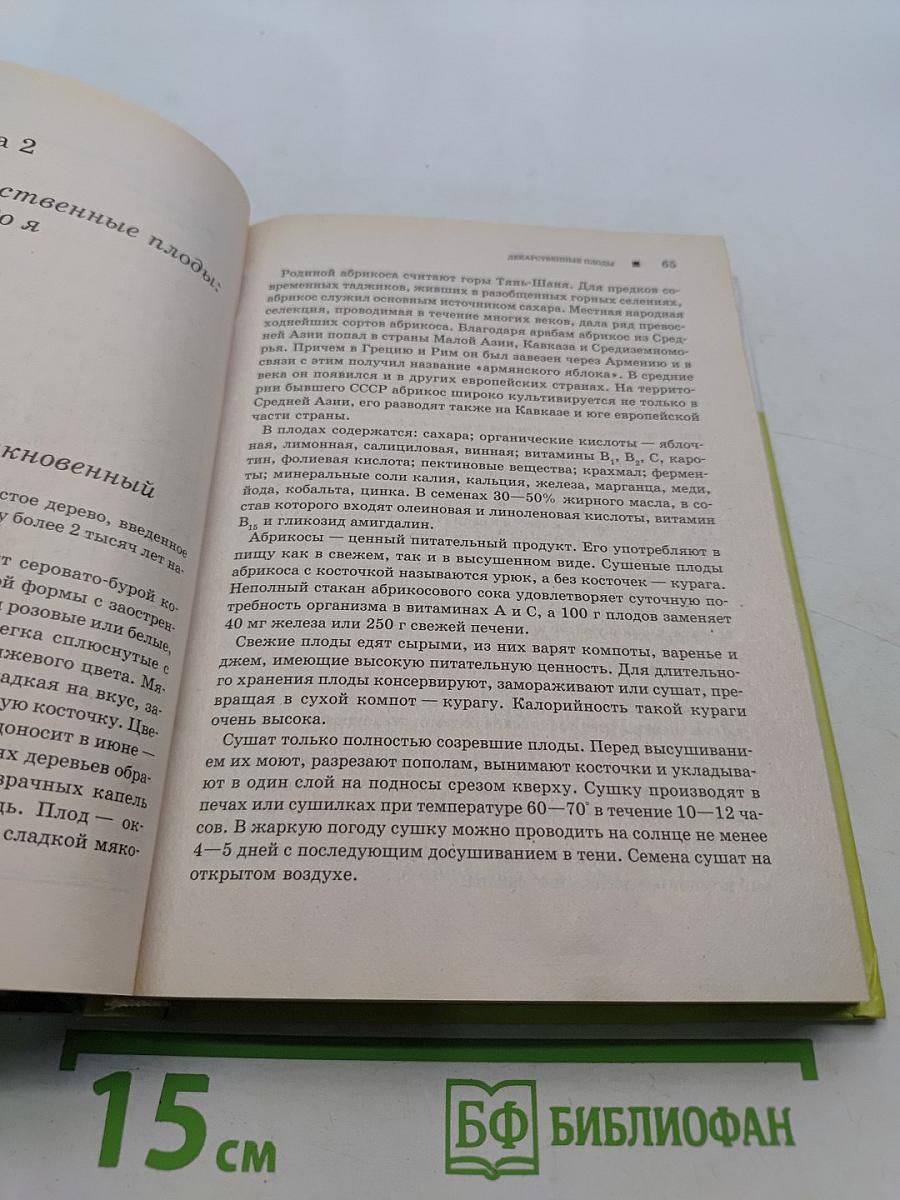 Лекарственные плоды. Овощи, фрукты, орехи и ягоды