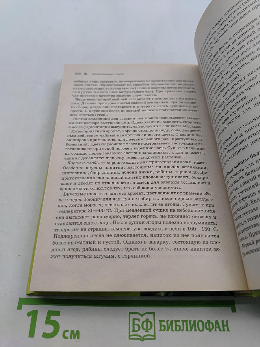 Лекарственные плоды. Овощи, фрукты, орехи и ягоды