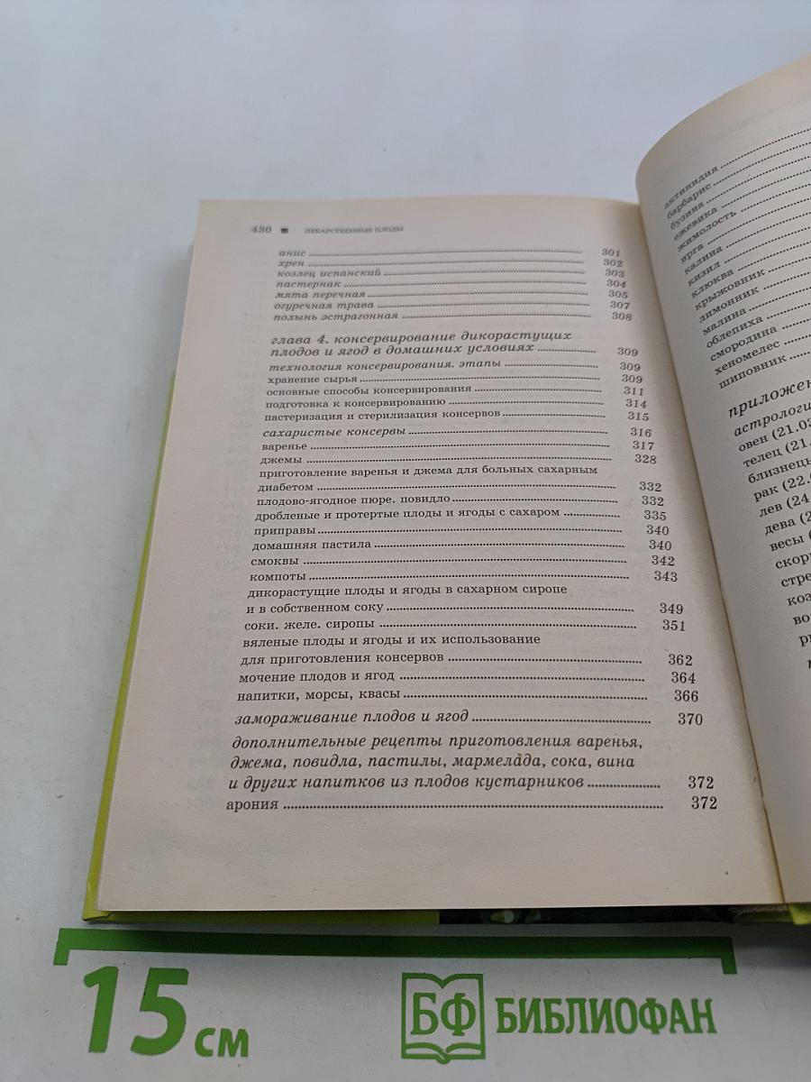 Лекарственные плоды. Овощи, фрукты, орехи и ягоды