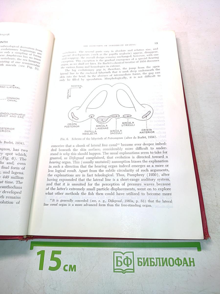 Contributions to Sensory Physiology, Volume 2