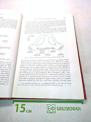 Contributions to Sensory Physiology, Volume 2