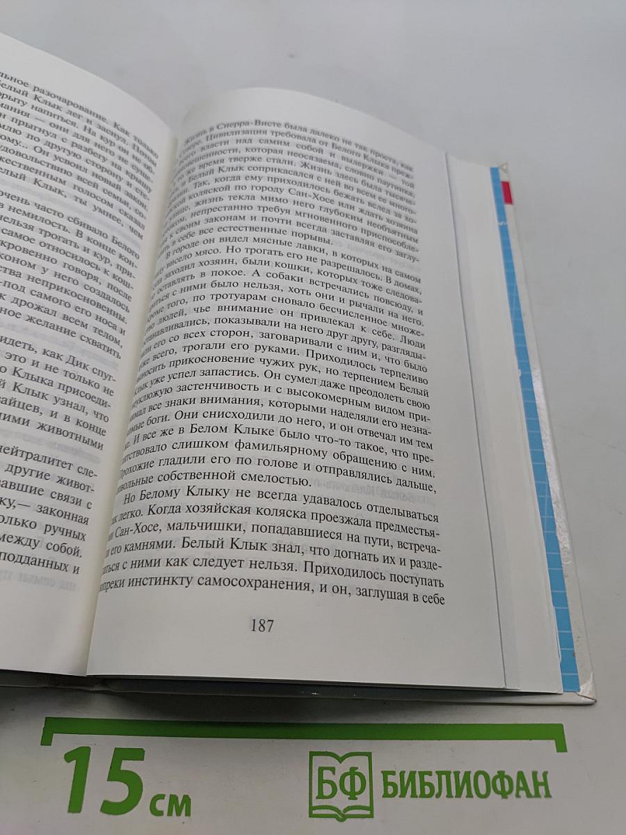 Белый клык