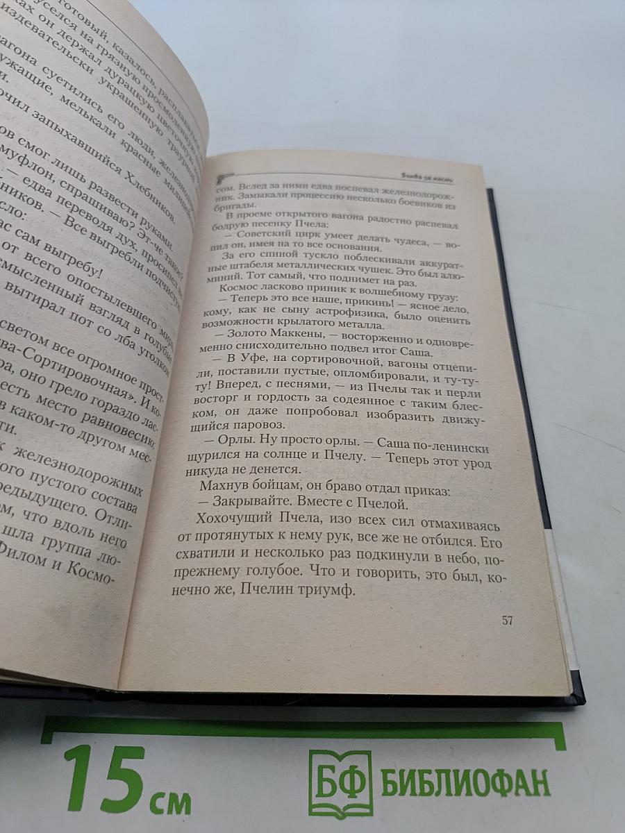 Бригада. Битва за масть. Книга 2