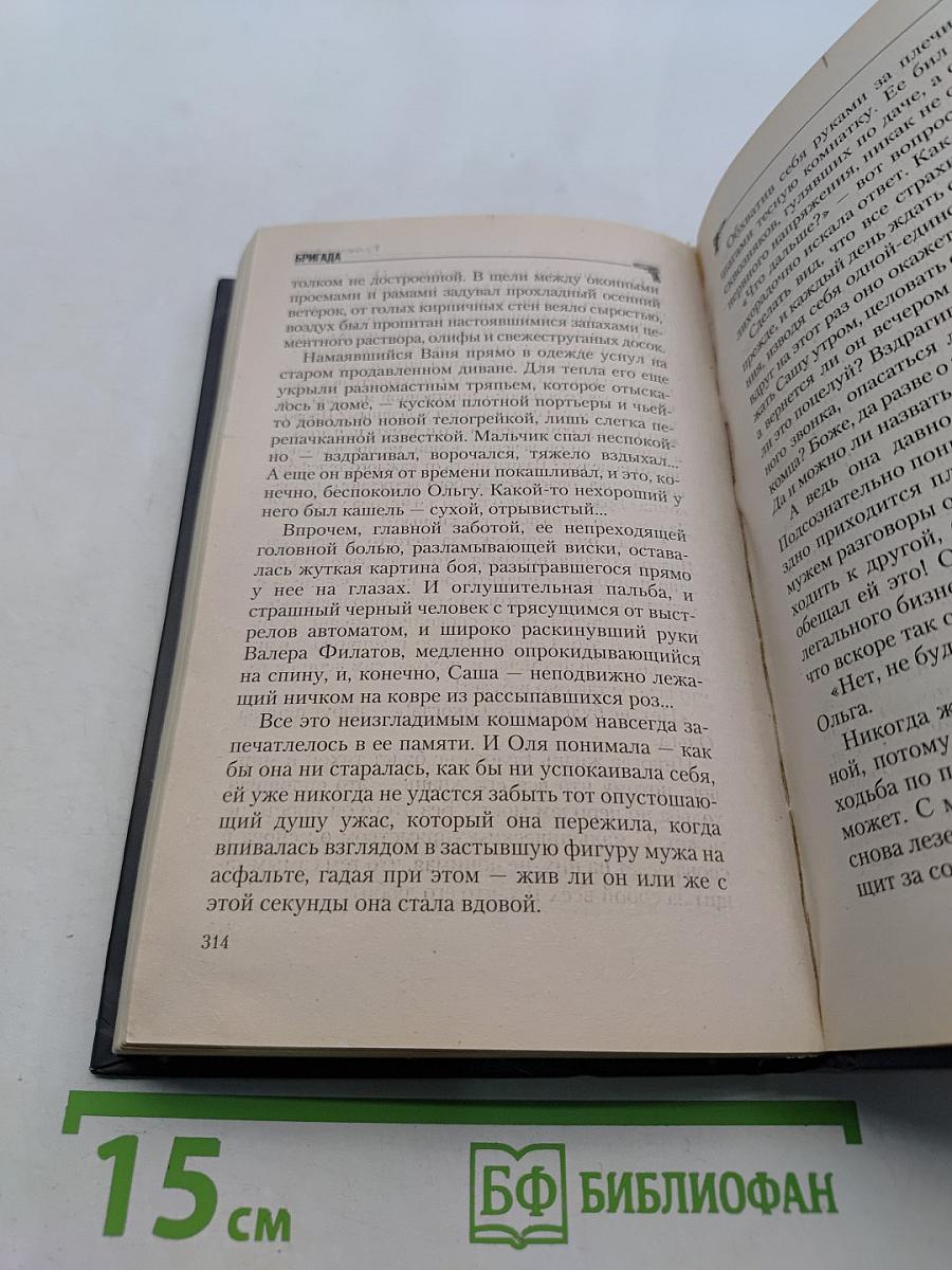 Бригада. Битва за масть. Книга 2