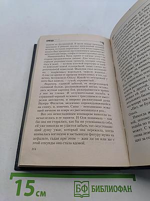 Бригада. Битва за масть. Книга 2