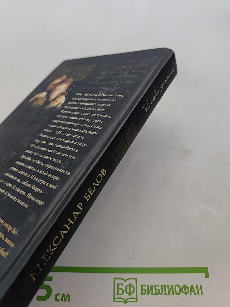 Бригада. Битва за масть. Книга 2