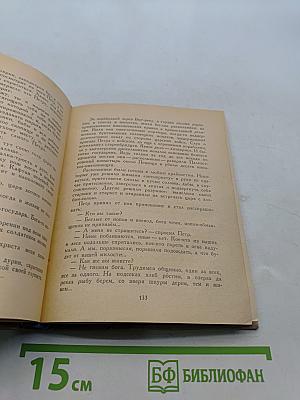 Петр Первый на Севере