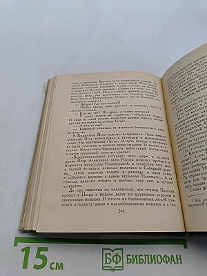 Петр Первый на Севере