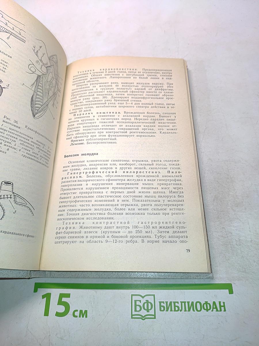 Болезни собак. Справочник