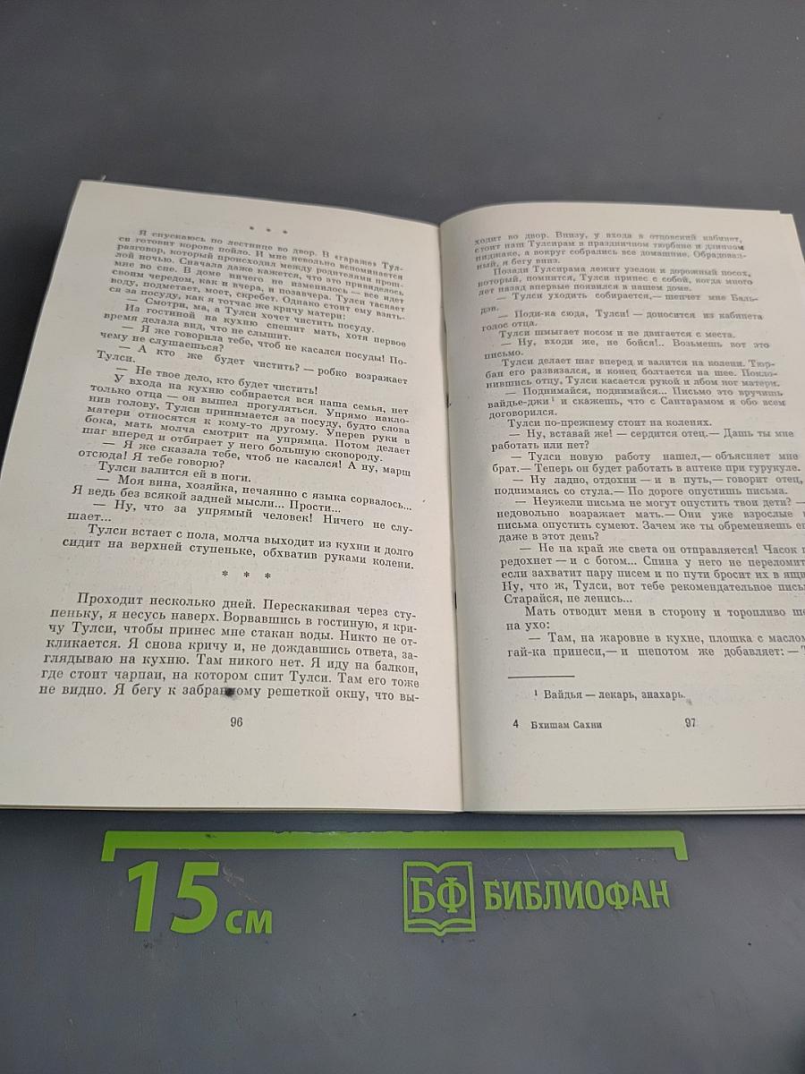 Окна отчего дома
