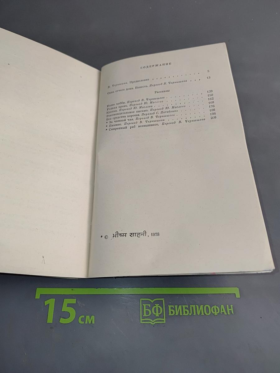 Окна отчего дома