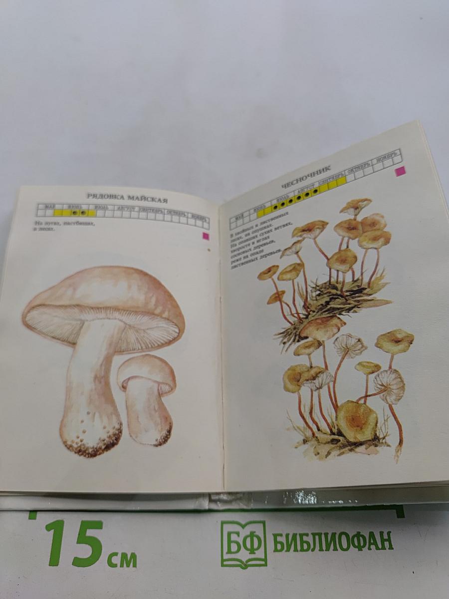 Практический справочник грибника