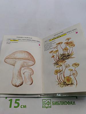 Практический справочник грибника