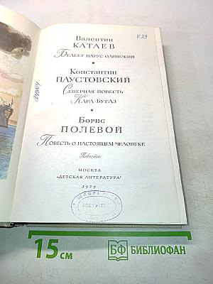 Белеет парус одинокий. Северная повесть. Повесть о настоящем человеке
