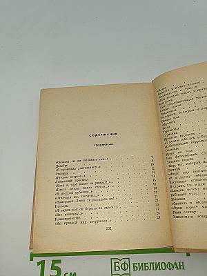 Стихотворения и поэмы. Том 2