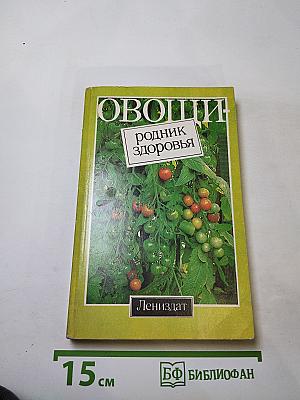 Овощи: родник здоровья