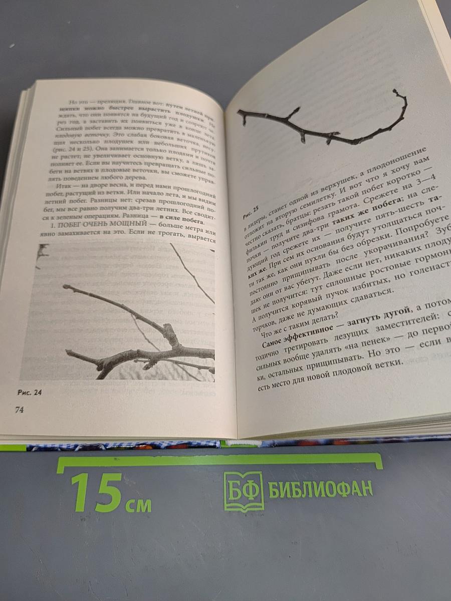 Неприхотливый сад: минимум ухода, максимум урожая
