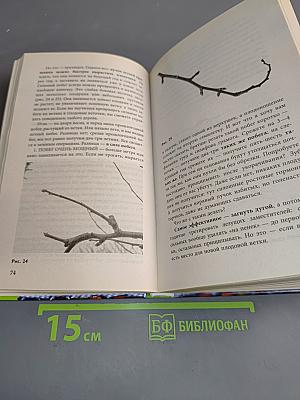 Неприхотливый сад: минимум ухода, максимум урожая